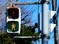 2025年8月24日 (日) 14:25時点における版のサムネイル